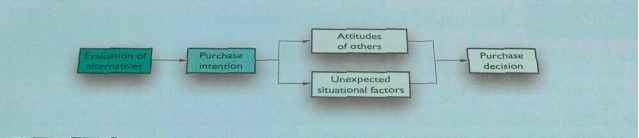 Evaluation Alternatives Marketing