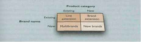 Brand Strategy Line Extension