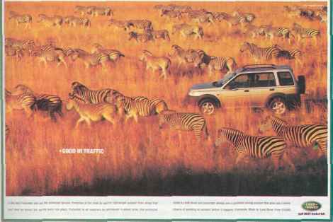 Food Market Promotion