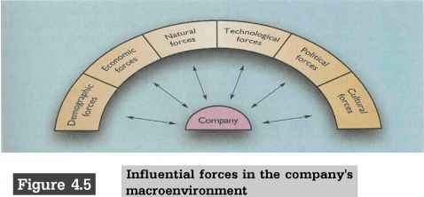 The Company Microenvironment