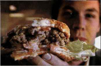 Criteria For Judging Good Hamburger