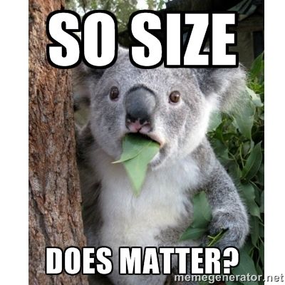 sizedoesmatterkoala