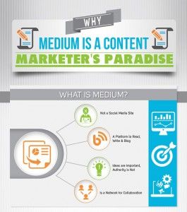 Infographic-creation-at-a-reasonable-price-image