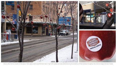 Guerrilla Marketing Calgary Farmer's Market