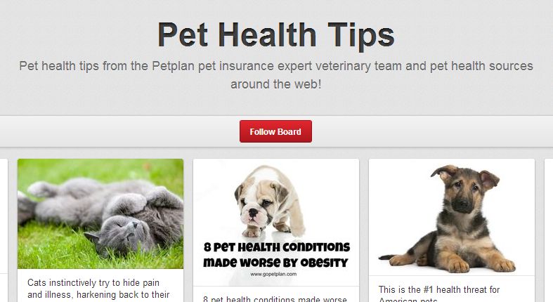 What can Pet Plan Insurance teach banks about Pinterest?