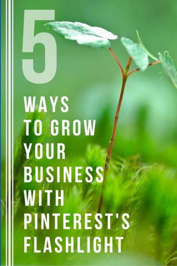 Discover 5 ways to use the new visual discovery tool within Pinterest to grow your business.