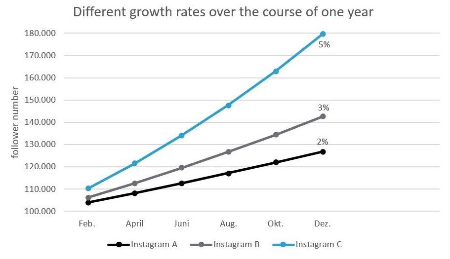 different follower growth rates over the course of one year