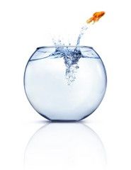 IStock_000008908968XSmall