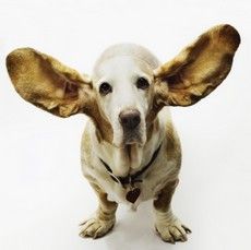 IStock_000004060935XSmall