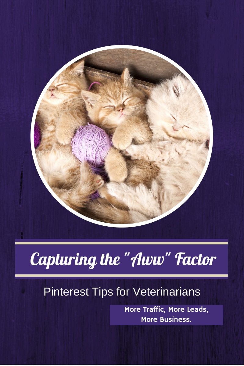 Pinterest Tips for Veterinarians