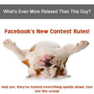 Facebook relaxes contest rules - they've turned everything as upside down as our bulldog!