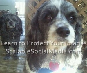 Protect Your Images with a Watermark