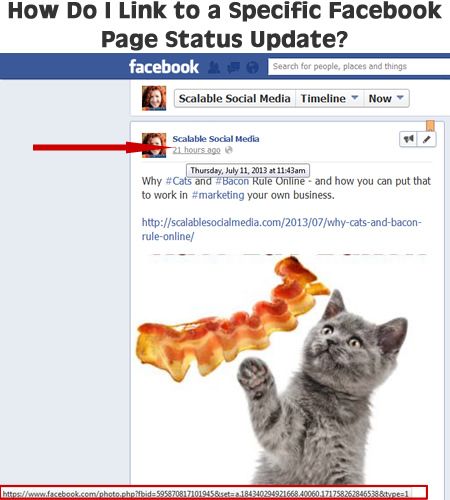find the link to a facebook status update printscreen