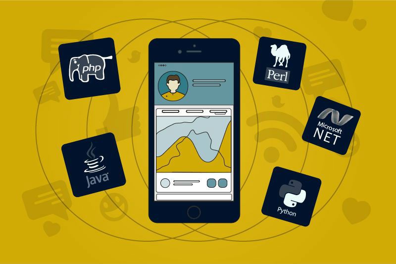 Social Network Programming Languages