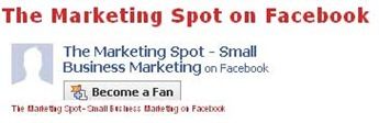 Facebook-Fan-The-Marketing-Spot