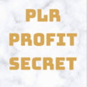 PLR Profit Secret Review