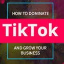 How to Dominate TikTok and Grow your Business