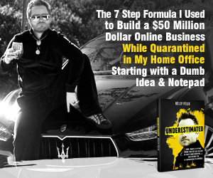 Underestimated Online Business Program