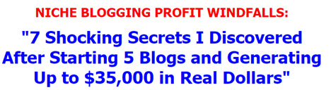 Niche Blogging Profits