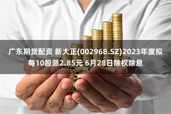 广东期货配资 新大正(002968.SZ)2023年度拟每10股派2.85元 6月28日除权除息